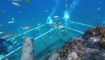 people-walking-on-the-seabed-seatrek
