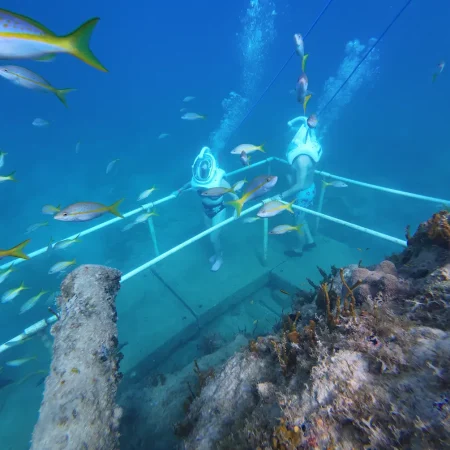 people-walking-on-the-seabed-seatrek