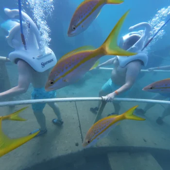 two-people-in-scuba-diving-seatrek