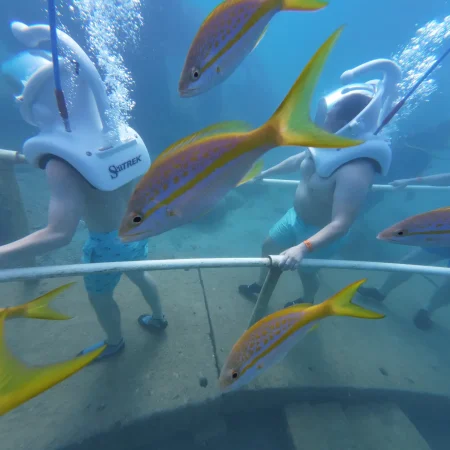 two-people-in-scuba-diving-seatrek